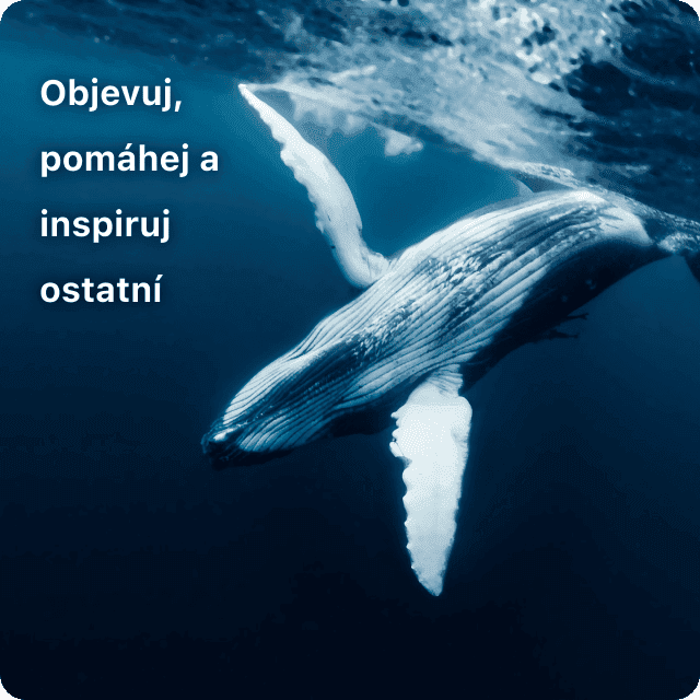 impact-banner-1